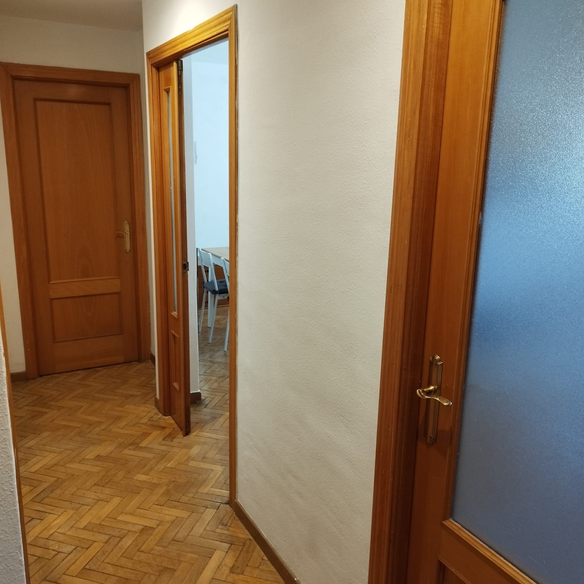 Pasillo de la entrada.jpeg